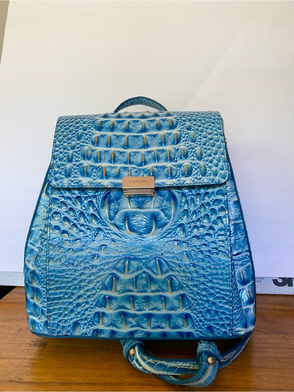 Brahmin blue crocodile bag